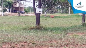 Lote com 600 m² a venda em Caldas Novas no Bairro Portal das Águas Quentes