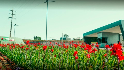 Lote a venda no Condomínio Cidades das Flores em Caldas Novas